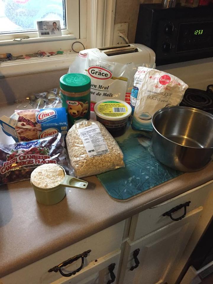 Suet Recipes For Cardinals Dandk Organizer